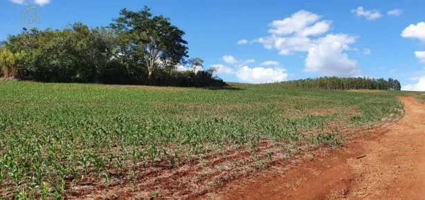 à venda, 208120m² no , Sertanópolis
