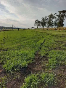 Lote/Terreno à venda, 15000m² no Vila Sottemo, Itapetininga
