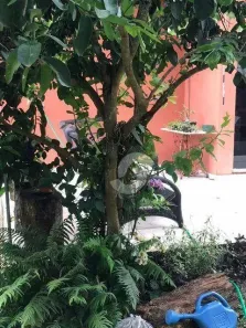 Casa de Condomínio com 2 Quartos à venda, 100m² no Várzea das Moças, Niterói