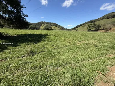 Fazenda/Sítio à venda, 730000m² no Lucilândia, Silva Jardim