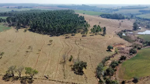 Fazenda/Sítio com 2 Quartos à venda, 60m² no Área Rural de Botucatu, Botucatu