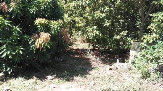 Lote/Terreno com 1 Quarto à venda, 1m² no Centro, Piracicaba