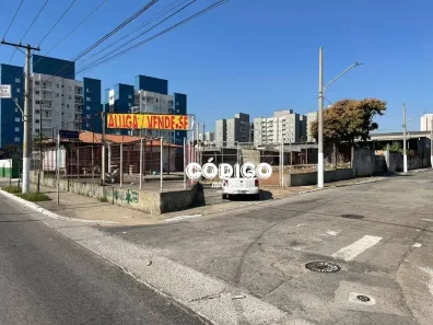 Lote/Terreno para alugar, 1500m² no Vila Califórnia, São Paulo