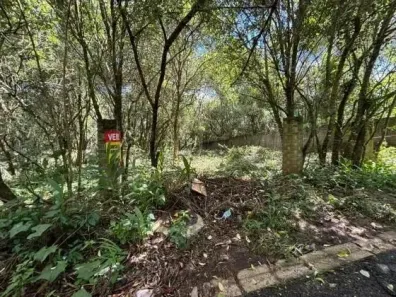 Lote/Terreno à venda, 2500m² no Santa Felicidade, Curitiba