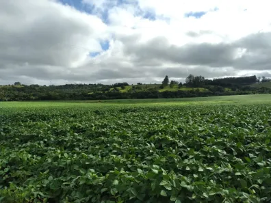 Fazenda/Sítio com 3 Quartos à venda, 80m² no Área Rural de Itapetininga, Itapetininga