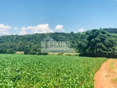 Fazenda/Sítio à venda, 112085m² no Colônia Dona Luíza, Ponta Grossa