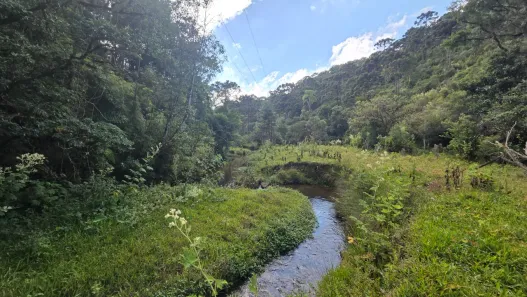 Lote/Terreno à venda, 48513m² no Laranjeiras, Campo Alegre