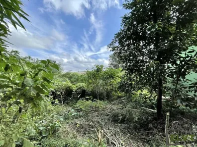 Lote/Terreno à venda, 907m² no Vila Santo Antônio, Cotia