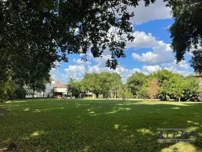 Casa de Condomínio com 4 Quartos à venda, 369m² no Jardim do Cedro, São José do Rio Preto