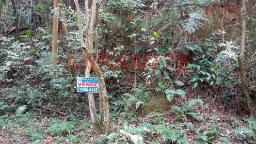 Lote/Terreno à venda, 2400m² no Caraguatá, Mairiporã