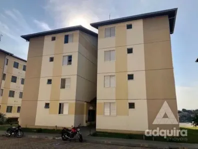 Apartamento com 3 Quartos para alugar, 50m² no Estrela, Ponta Grossa