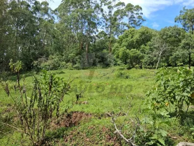 Lote/Terreno à venda, 24200m² no Cooperativa, São Bernardo do Campo
