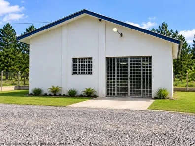 Galpão/Depósito/Armazém para alugar, 90m² no Campo Largo da Roseira, São José dos Pinhais