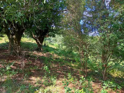 Fazenda/Sítio à venda, 20000m² no , Jaboticatubas