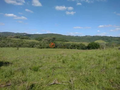 Fazenda/Sítio à venda, 105000m² no , Morro Redondo