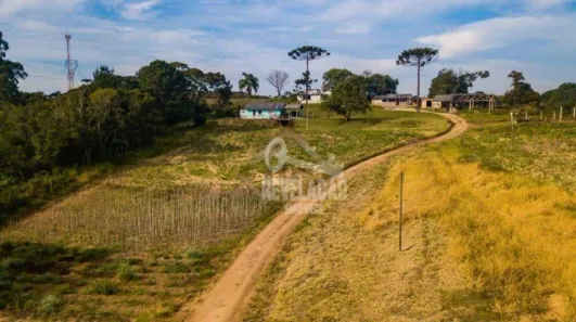 Lote/Terreno à venda, 84000m² no Cruzeiro, São José dos Pinhais