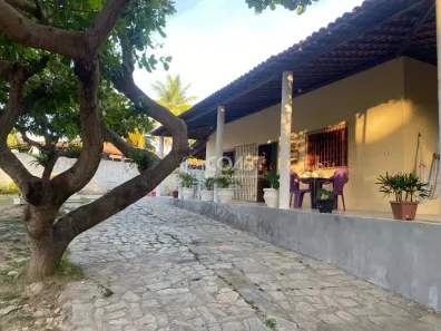 Fazenda/Sítio com 4 Quartos à venda, 2000m² no Pov. Lagoa Redonda, Pirambu