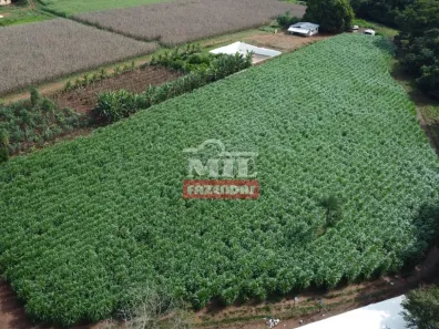 Fazenda/Sítio à venda, 500m² no , Taquaral de Goiás