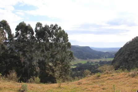 Lote/Terreno à venda, 158167m² no Campestre, Urubici