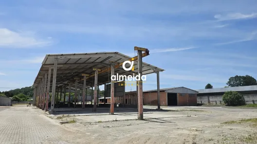 Galpão/Depósito/Armazém com 4 Quartos para alugar, 3667m² no Nossa Senhora Medianeira, Santa Maria