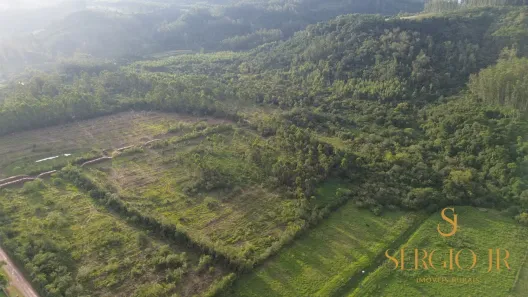 Fazenda/Sítio à venda, 336000000m² no Área Rural de Montenegro, Montenegro