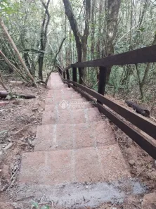 Fazenda/Sítio à venda, 2401m² no Centro, Taquara