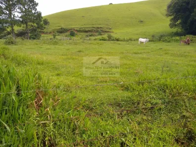 Fazenda/Sítio com 6 Quartos à venda, 7800m² no A Definir, Itapeva