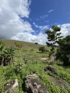 Fazenda/Sítio à venda, 31000m² no , Joaquim Gomes