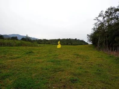 Lote/Terreno à venda, 23802m² no DIVINÉIA, Rio dos Cedros
