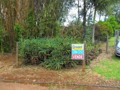 Fazenda/Sítio com 3 Quartos à venda, 95m² no São Luiz, Sapiranga