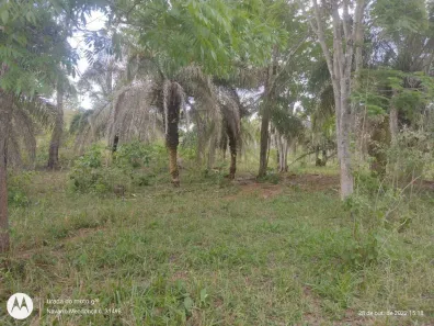 Fazenda/Sítio com 3 Quartos à venda, 10m² no , Ipameri