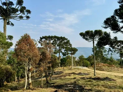 Lote/Terreno à venda, 24000m² no , Urubici