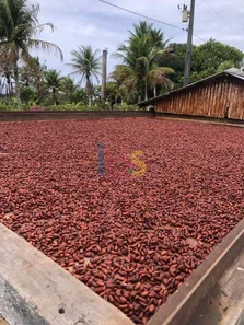 à venda, 200m² no Serra Grande, Uruçuca