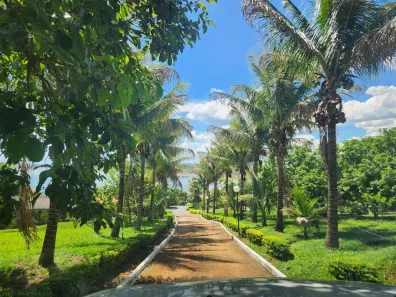 Fazenda/Sítio com 6 Quartos à venda, 1150m² no Morada do Sol, Uberlândia