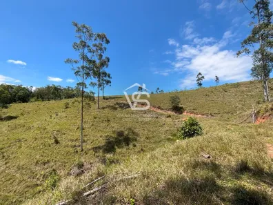 Fazenda/Sítio à venda, 160000m² no , Paulo Lopes