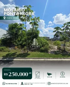 Lote/Terreno à venda, 250m² no Ponta Negra, Manaus