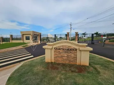Lote/Terreno à venda, 250m² no Quinta da Mata, Ribeirão Preto