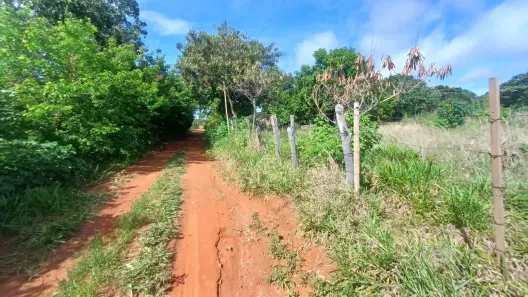 Fazenda/Sítio à venda, 80m² no Monte Alto, Padre Bernardo
