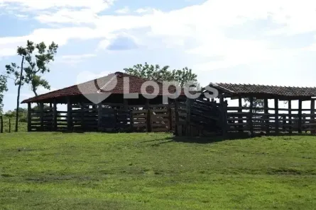 Fazenda/Sítio à venda, 1570000m² no Setor Central, Pilar de Goiás