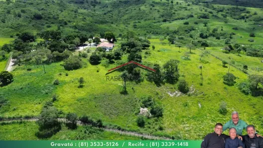 Fazenda/Sítio à venda, 165000m² no , Sairé