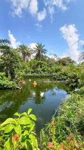 Casa com 4 Quartos à venda, 2580m² no Buraquinho, Lauro de Freitas