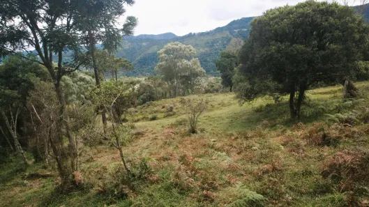 Fazenda/Sítio à venda, 22000m² no Águas Brancas, Urubici