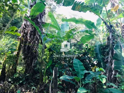 Lote/Terreno à venda, 750m² no Serra Grande, Niterói