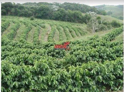 Fazenda/Sítio com 1 Quarto à venda, 93600m² no Área Rural de Viçosa, Viçosa