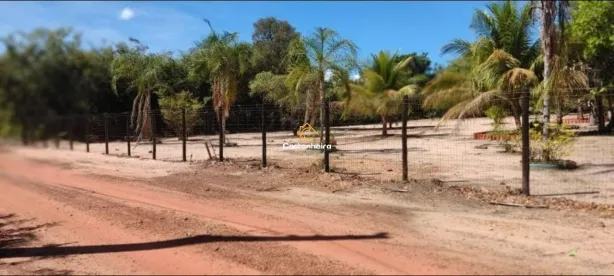 Fazenda/Sítio com 3 Quartos à venda, 2000m² no , Porto Nacional