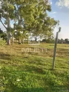Fazenda/Sítio com 1 Quarto à venda, 11m² no Chácaras Uirapuru, Uberlândia
