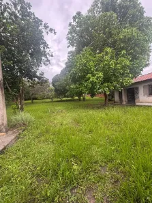 Fazenda/Sítio com 4 Quartos à venda, 4512m² no Santa Rosa, São Luís