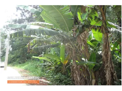 Lote/Terreno à venda, 4200m² no Jardim Santa Paula, Cotia