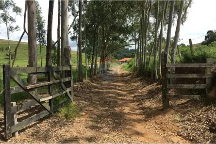 com 4 Quartos à venda, 5000m² no , Socorro