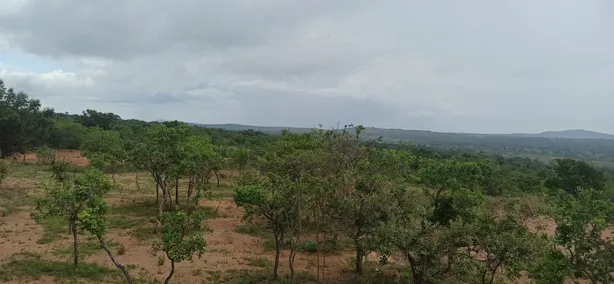 Lote/Terreno à venda, 20000m² no Cordisburgo, Cordisburgo